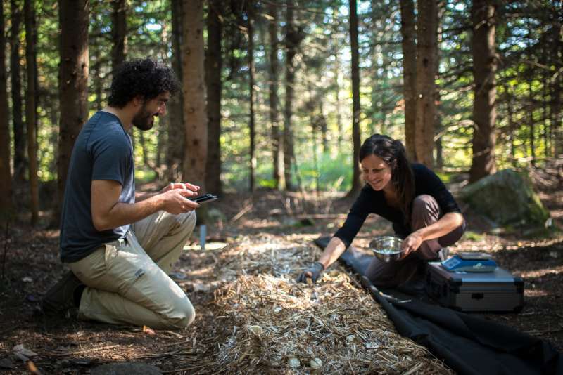 origine du système breveté de toit vert modulaire prévégétalisé LiveRoof®