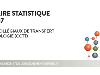 Statistiques du Ministère de l’éducation de l’enseignement supérieur