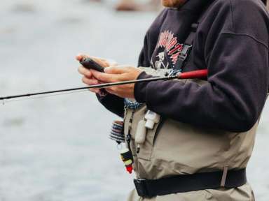 Des poissons à portée de clics