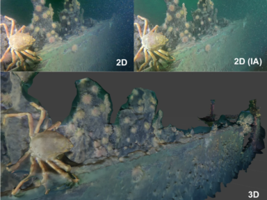 Le CDRIN lance la Phase 2 du projet de virtualisation de l’épave du Scotsman