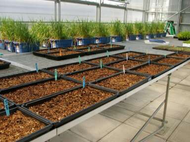 Biopterre, innovateur de nature (article paru sur le Portail du réseau collégial du Québec)