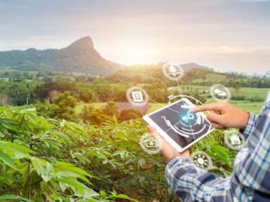 Les CCTT allient humains et technologies pour bâtir une société verte et durable (article paru sur le Portail du réseau collégial du Québec)