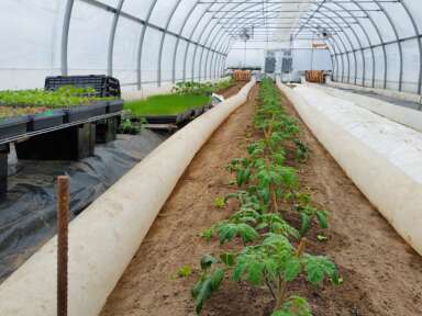 À la découverte des pouponnières à entreprises agricoles