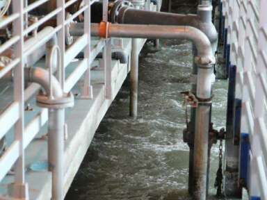 Ce qui les rend fiers !