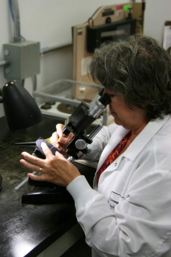 Groupe CTT 1 683x1024